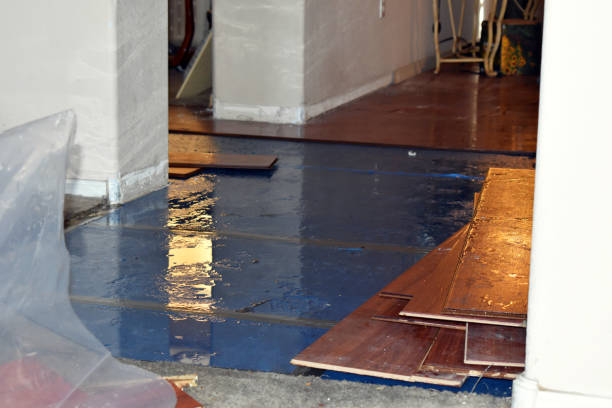 Professional Sewage Cleanup technician working in Westbury, NY